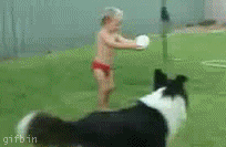 gifbinkidkickingfootbal